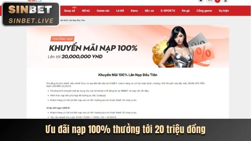 Phân tích ưu đãi độc quyền OK22 liên kết mới